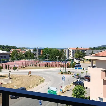 Pogled